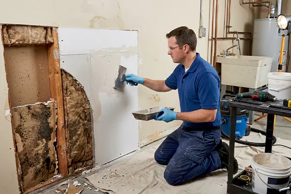 Mold and Drywall Repair Coppell