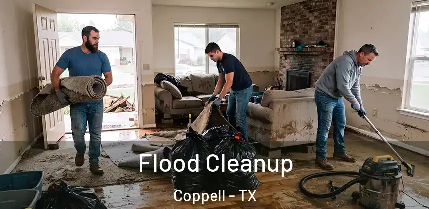  Flood Cleanup Coppell - TX