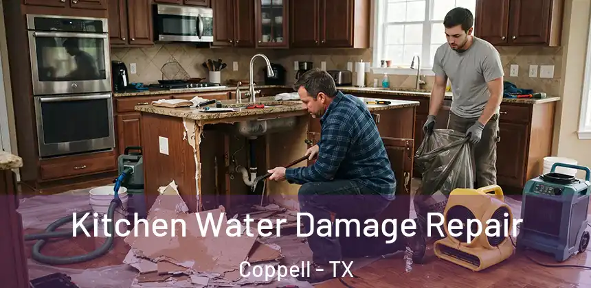  Kitchen Water Damage Repair Coppell - TX