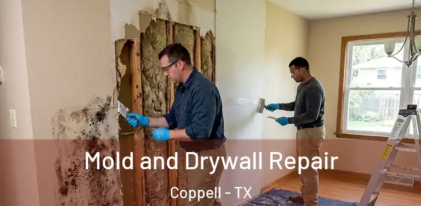  Mold and Drywall Repair Coppell - TX