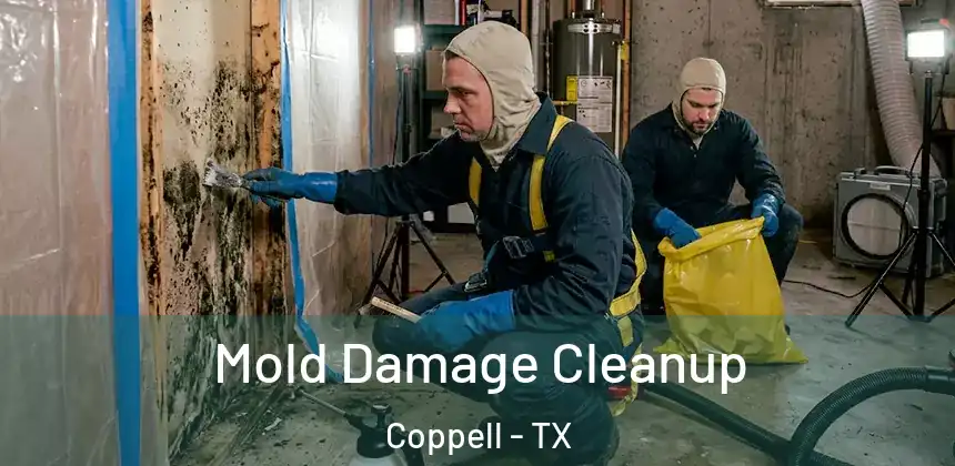  Mold Damage Cleanup Coppell - TX