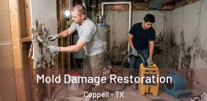  Mold Damage Restoration Coppell - TX