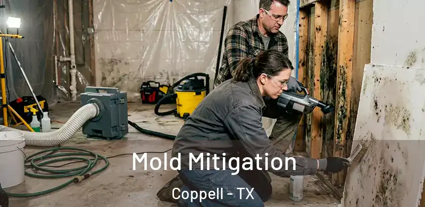  Mold Mitigation Coppell - TX