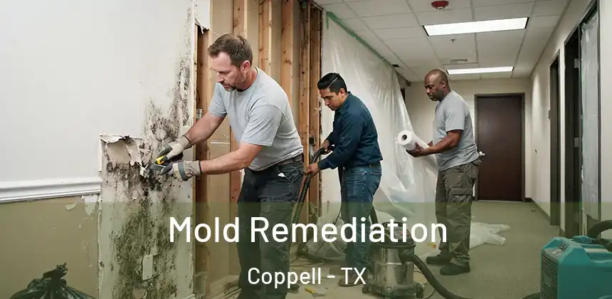  Mold Remediation Coppell - TX