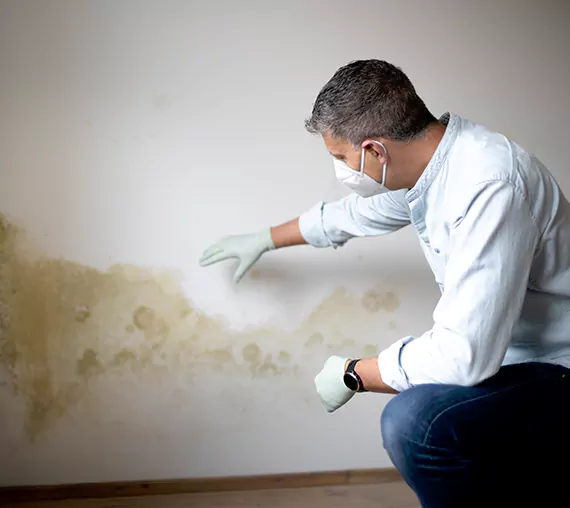 Mold Removal Service in Coppell, TX