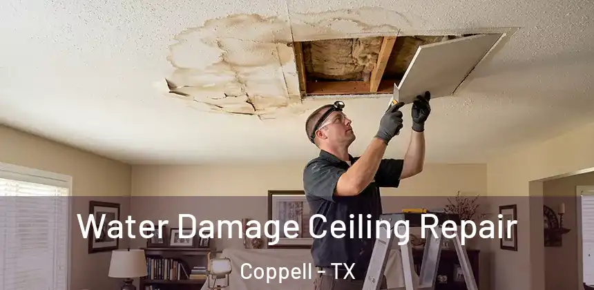  Water Damage Ceiling Repair Coppell - TX