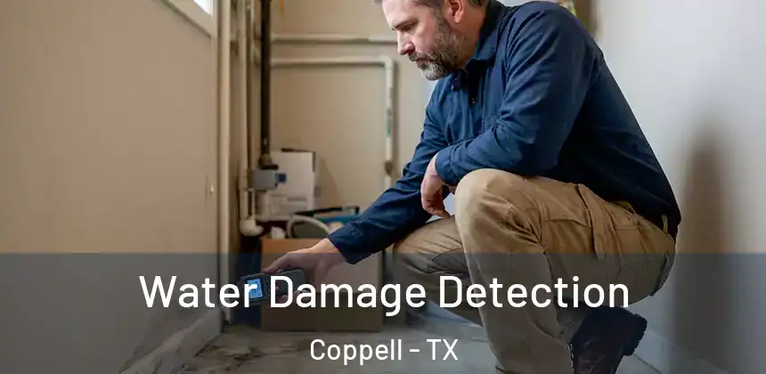  Water Damage Detection Coppell - TX