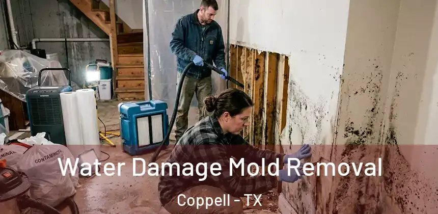 Water Damage Mold Removal Coppell - TX