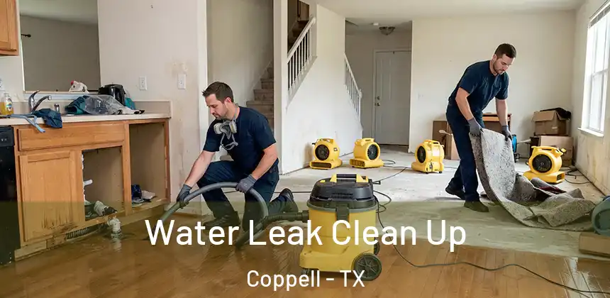 Water Leak Clean Up Coppell - TX