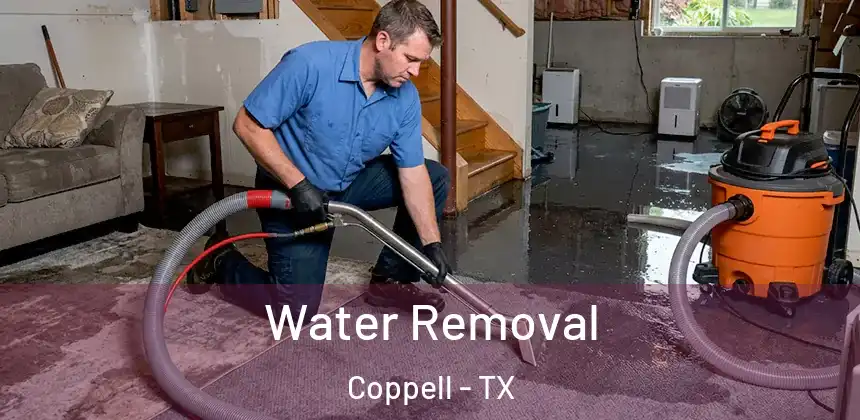  Water Removal Coppell - TX